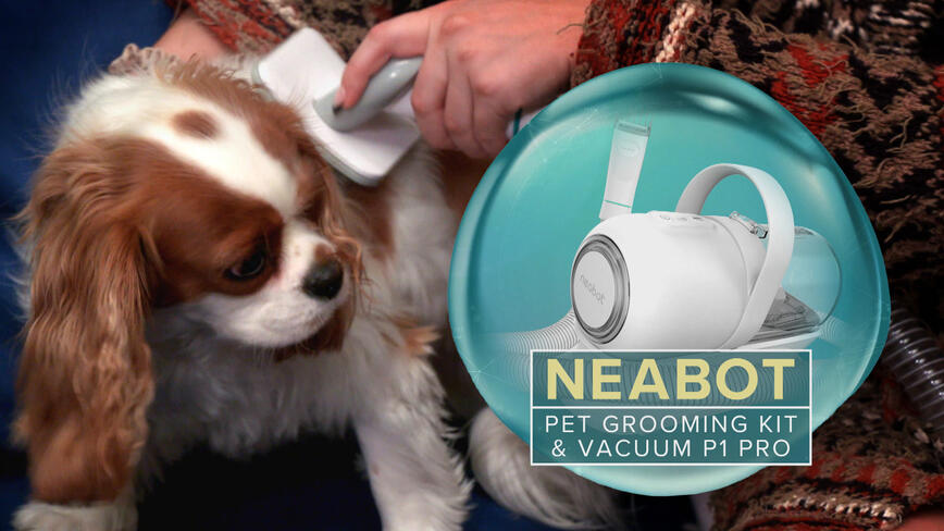 Neabot