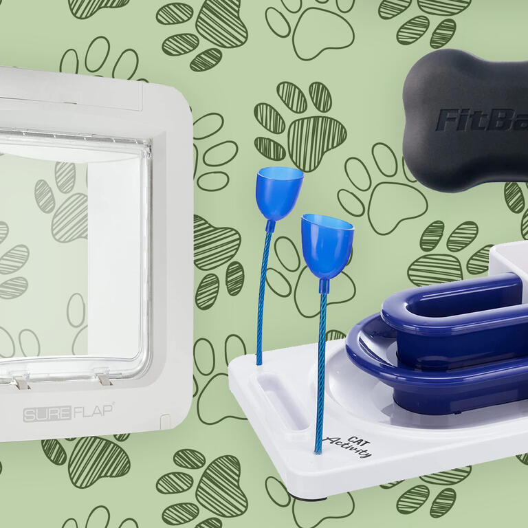 Pet Gear