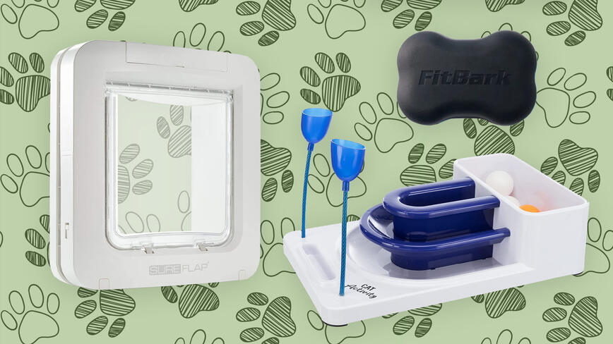 Pet Gear