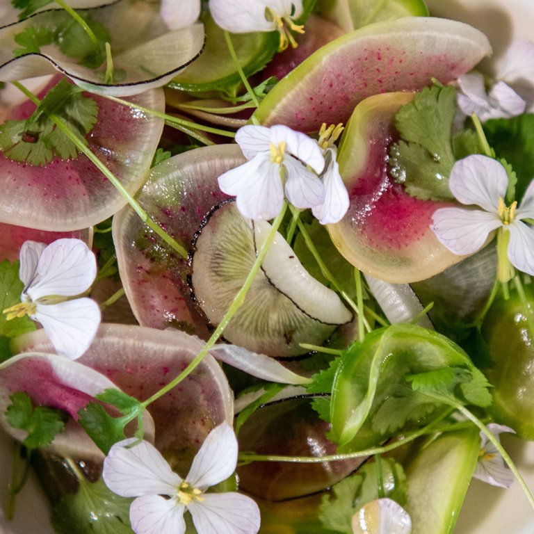 Shaved Radish and Cilantro Salad