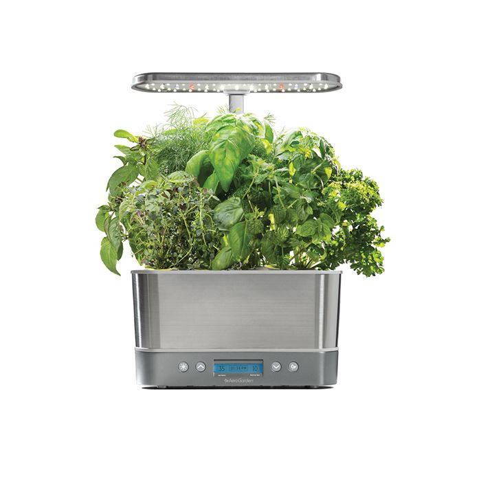 aerogarden