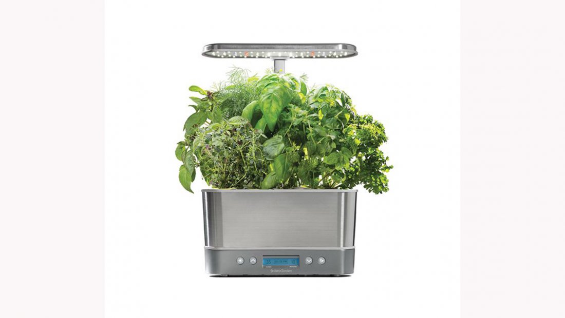 aerogarden