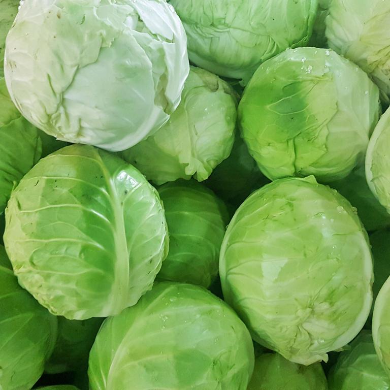 cabbage