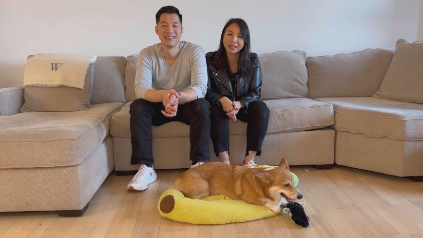 Dash the Corgi