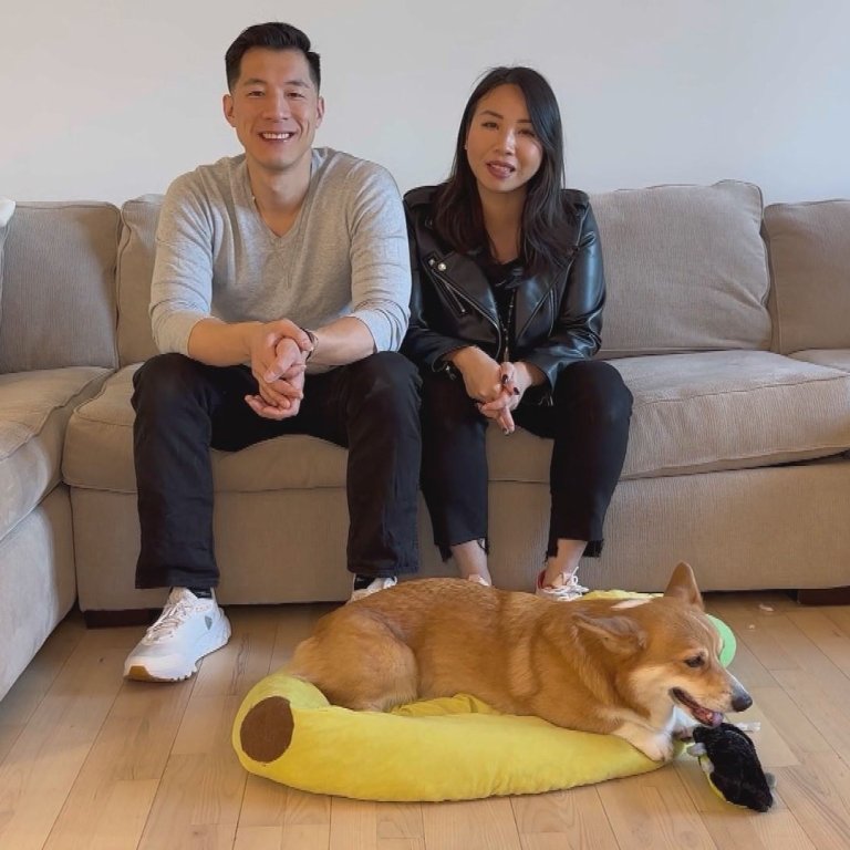 Dash the Corgi