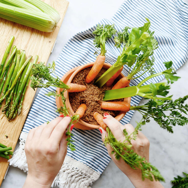 Veggie Garden Snack