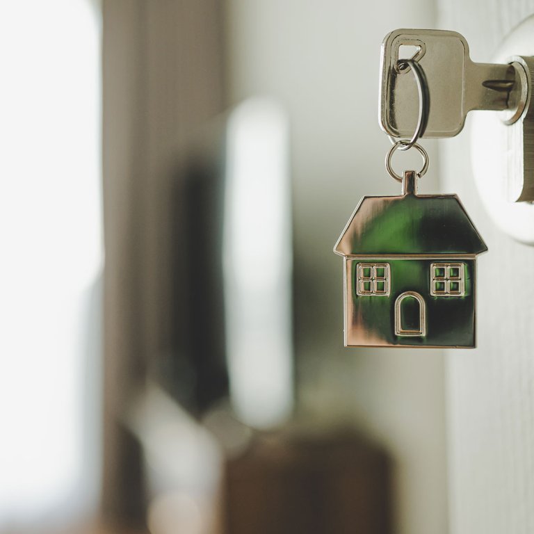 rent or buy