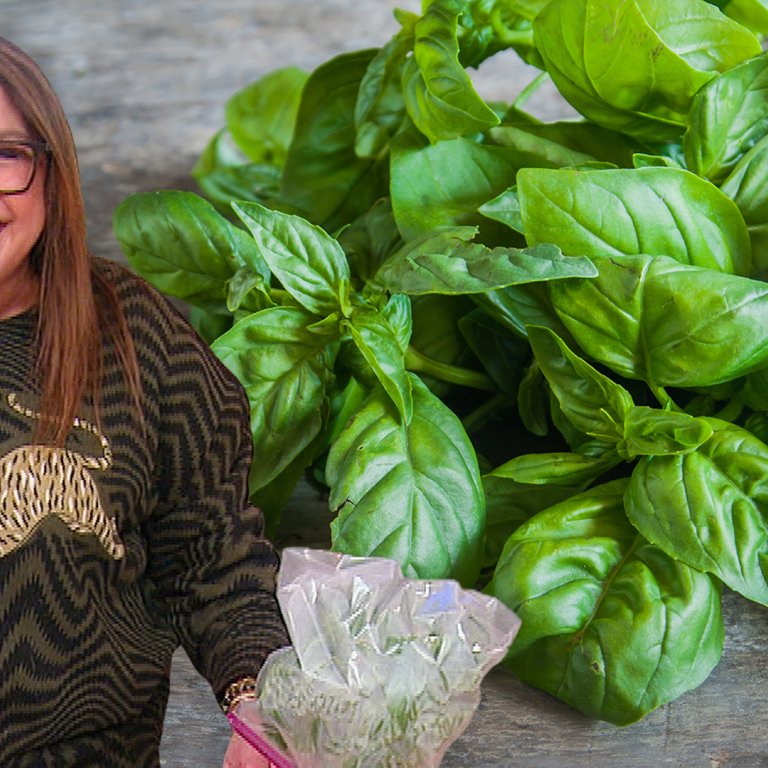 Rachael's Tip: Keeping Basil Fresh Longer