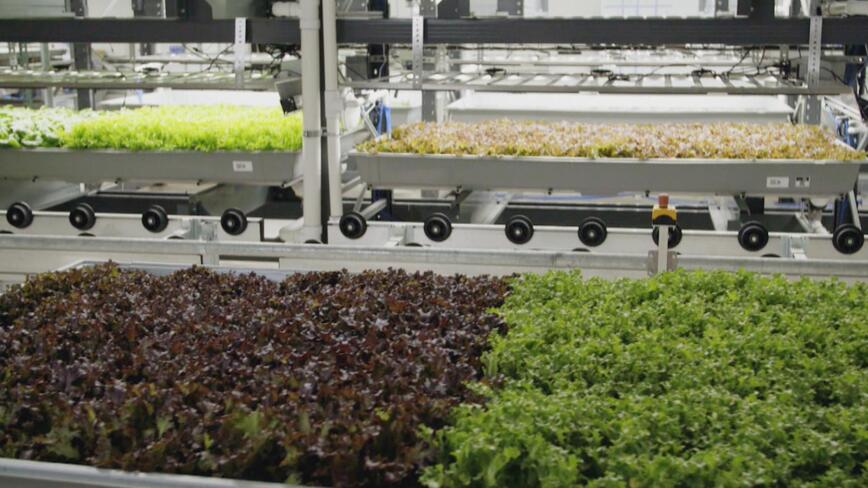 Bowery Farming
