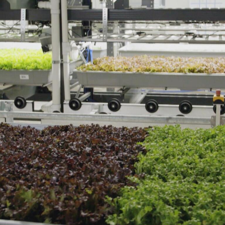 Bowery Farming
